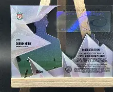 乌拉圭超级前锋