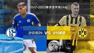 沙尔克客场惨败,球迷抨击主帅战术是真的吗 沙尔克客场惨败,球迷抨击主帅战术是真的吗